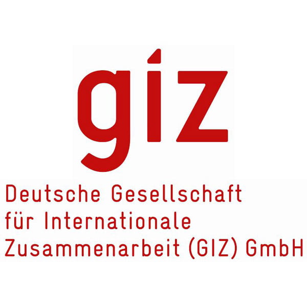 GIZ organization Logo