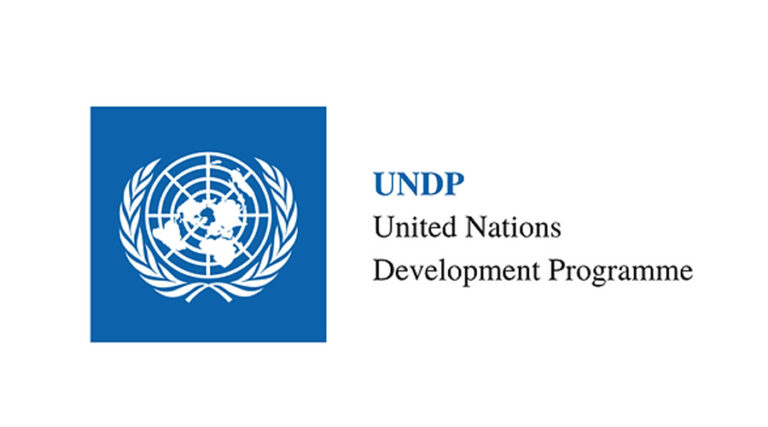 UNDP organization logo