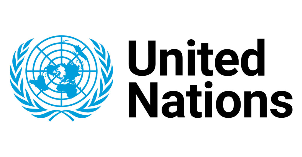 Guide to the United Nations Internship Programme
