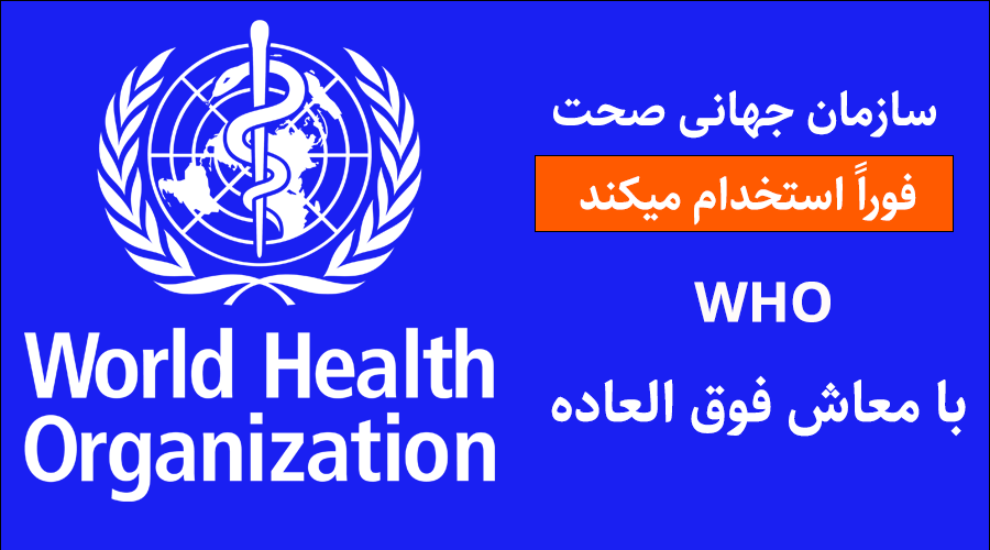 Vital Statistic Officer UN Jobs Vital Statistic Officer UN Jobs