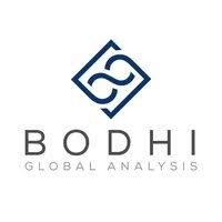 Bodhi Global Analysis