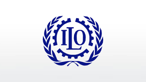 National Project Coordinator at Internation Labour Organization (UN-ILO)