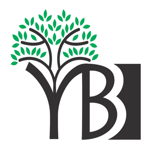 Youth Break the Boundaries (YBB)