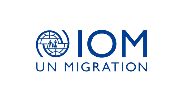 Information and Communication Technology Assistant